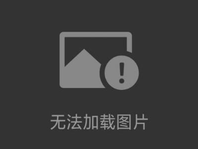 雞胚培養(yǎng)德國grumbach孵化器孵蛋器